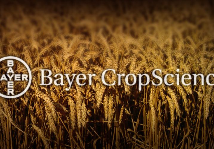 Bayer promotional videos